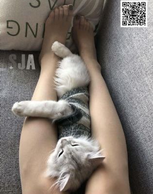 好想被狂躁_720电影完整版
