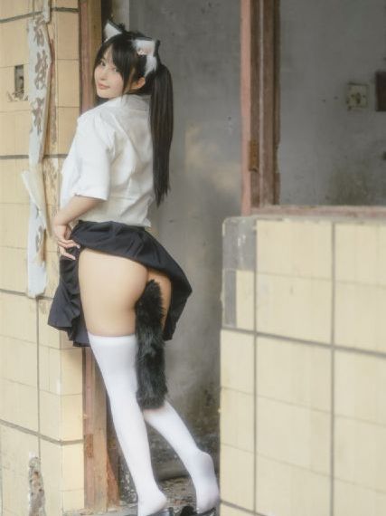 凤凰电视剧_BD国语在线观看