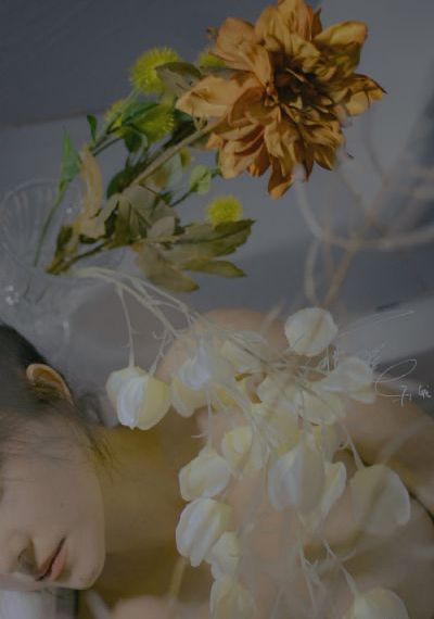 《速度与激情9》免费_4K在线播放观看