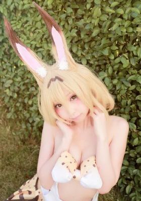 芸娘电视剧_高清视频大全